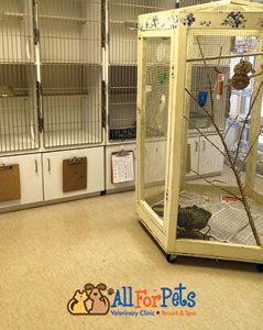 boarding-interior-1 boarding-interior-1